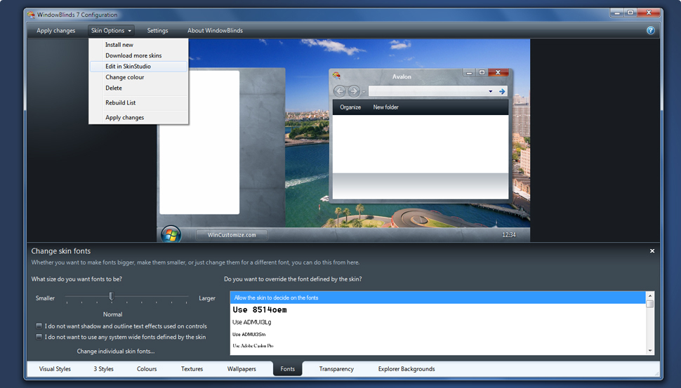 WindowBlinds skin 5